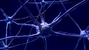 stroke-recovery-neuroplasticity stroke-recovery-neuroplasticity